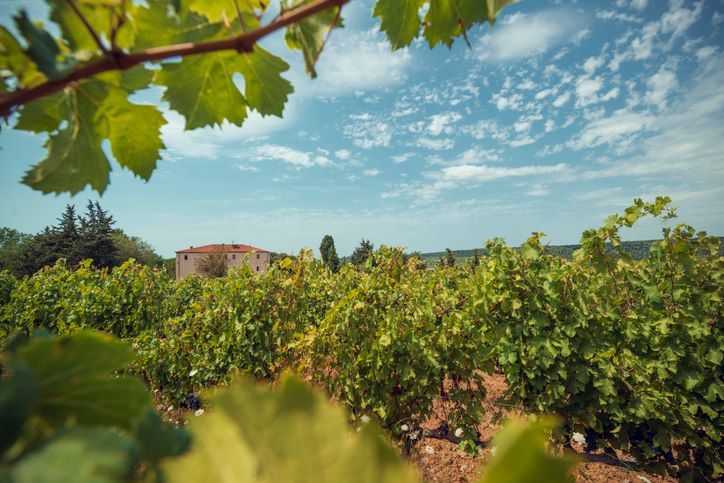 Chianti-Wine-Region