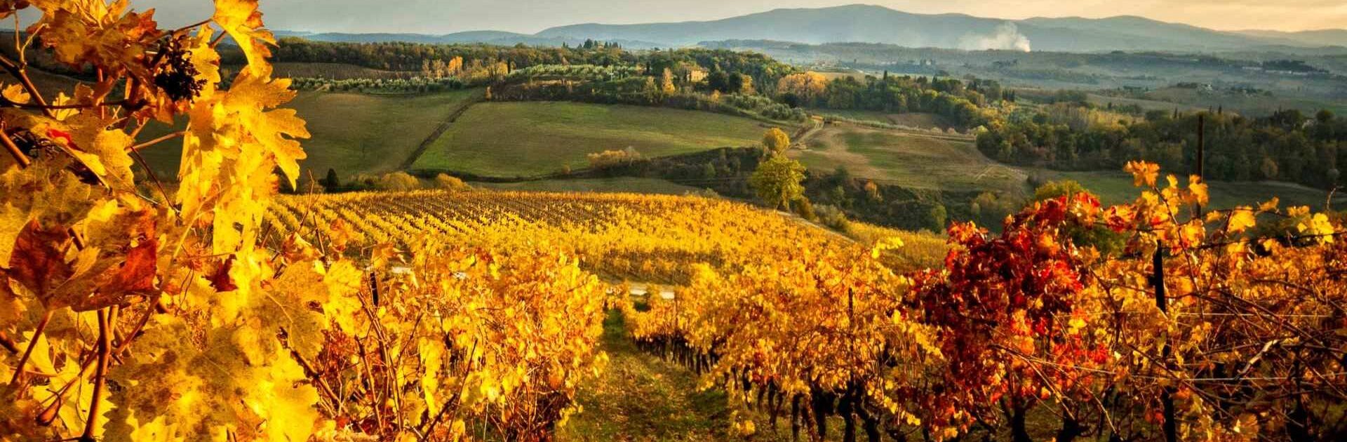 Fall in Tuscany