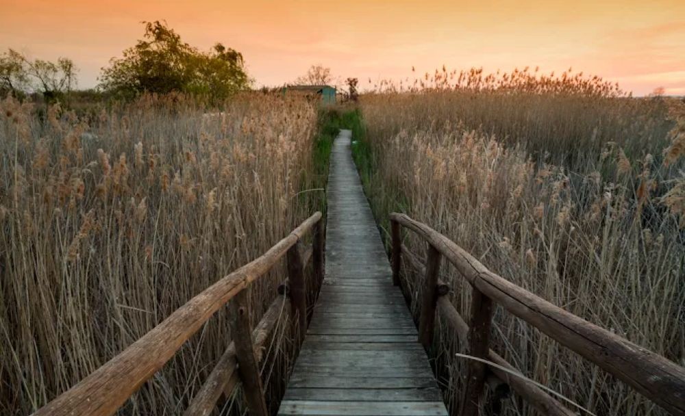 LIPU Massaciuccoli