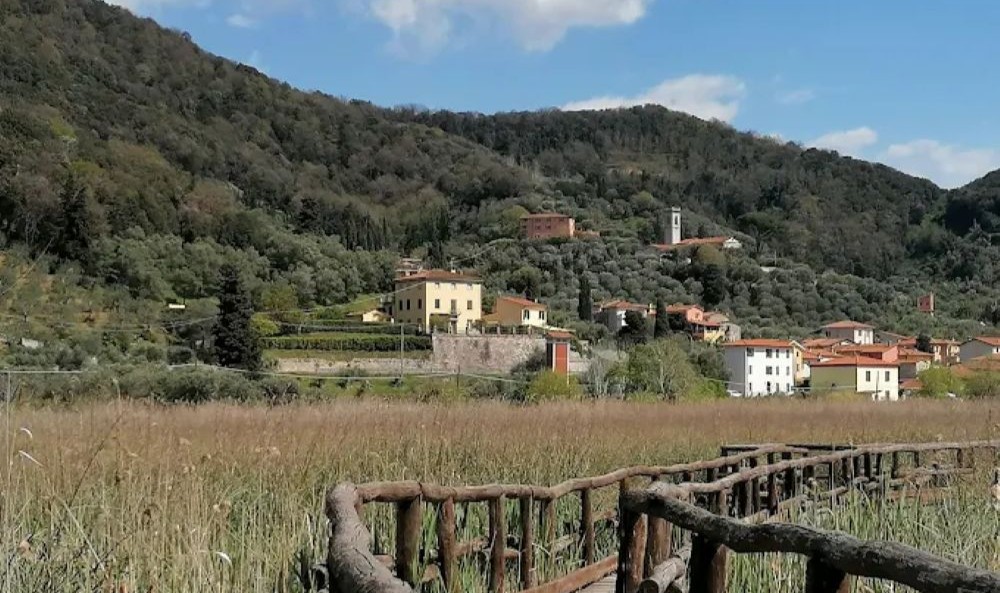 LIPU-Massaciuccoli-visit
