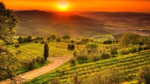 Tuscany-in-Octobe