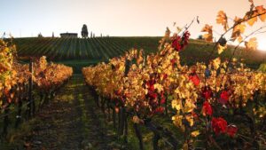 discover-November-in-Tuscany