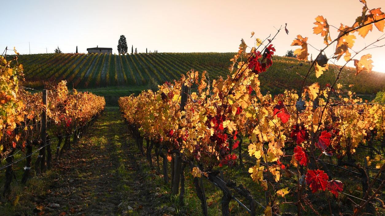 discover-November-in-Tuscany