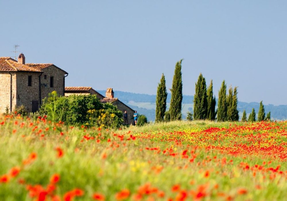 Discover Tuscany in March
