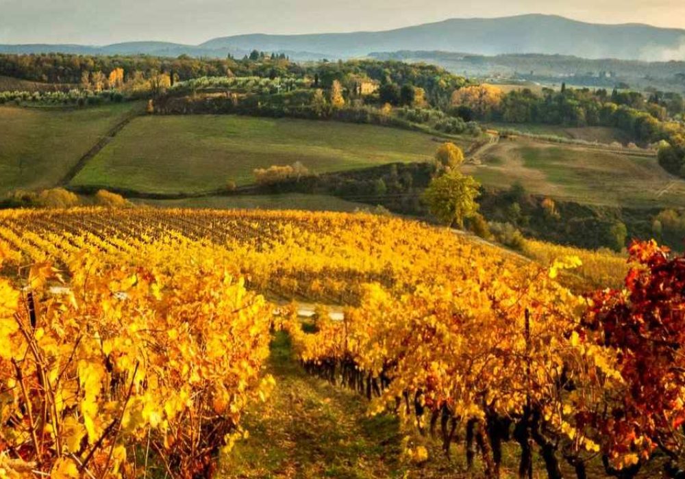Tuscany In The Fall Discover Tuscany Our Journal