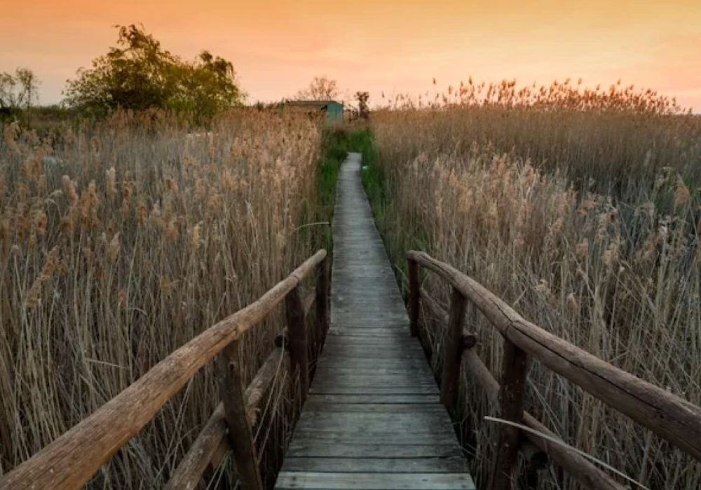 LIPU Massaciuccoli