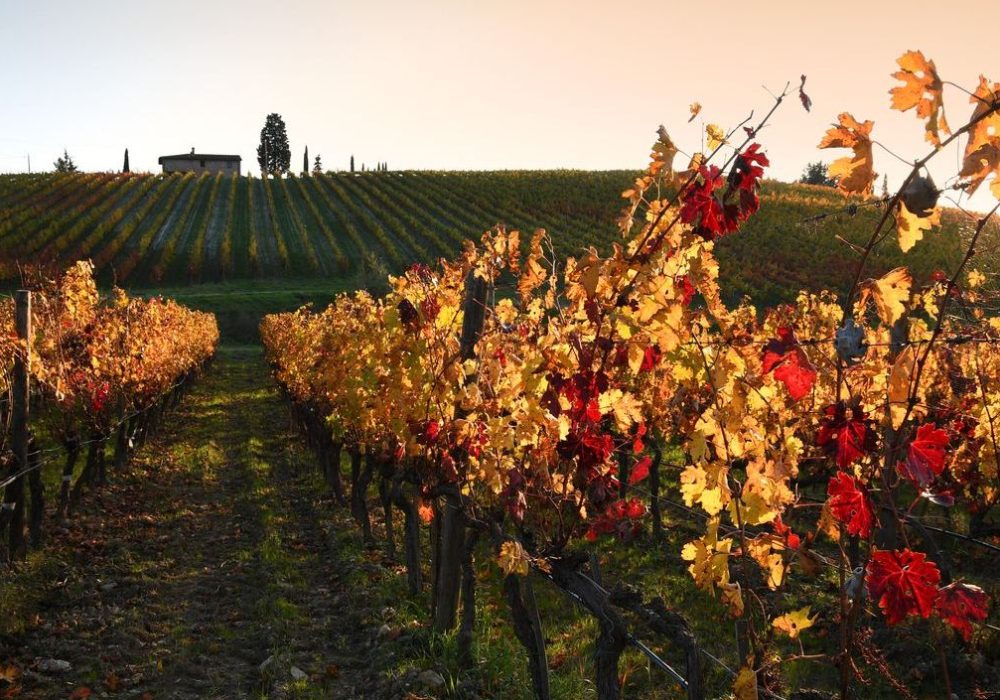 discover-November-in-Tuscany