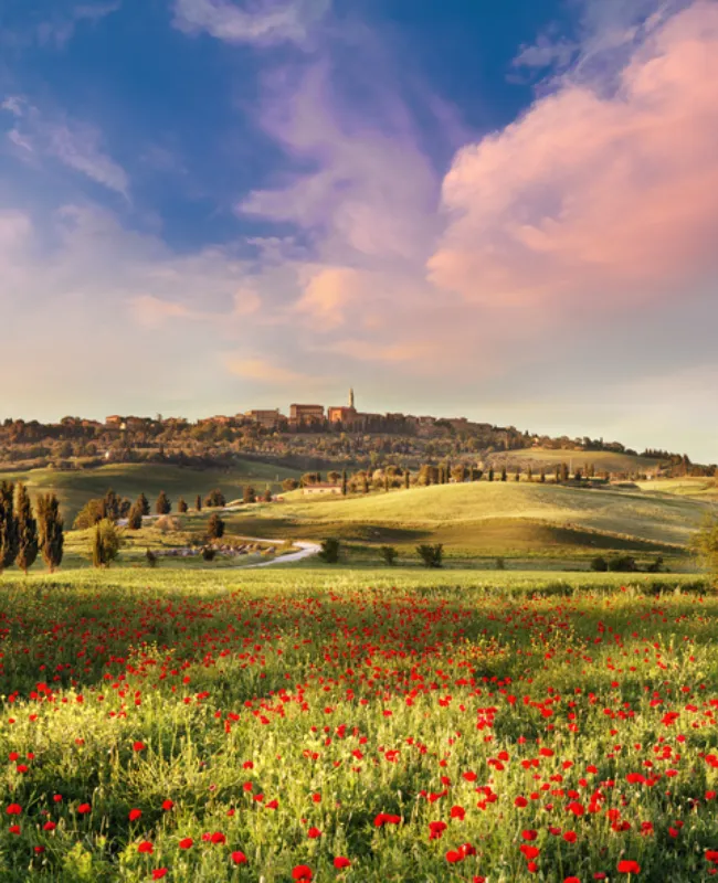 Panoramic view of the Tuscany region, renowned for its rolling hills, vineyards, and charming medieval villages.