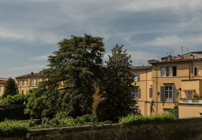 Apartment in Lucca - Casa Beatrice Apartment in Lucca - Casa Beatrice