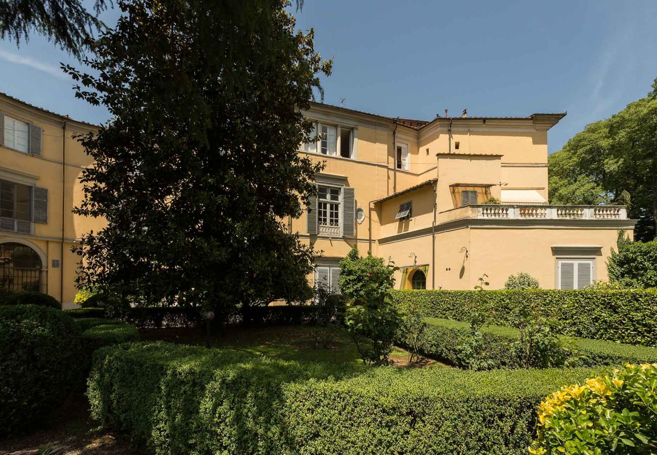 Apartment in Lucca - Casa Beatrice Apartment in Lucca - Casa Beatrice