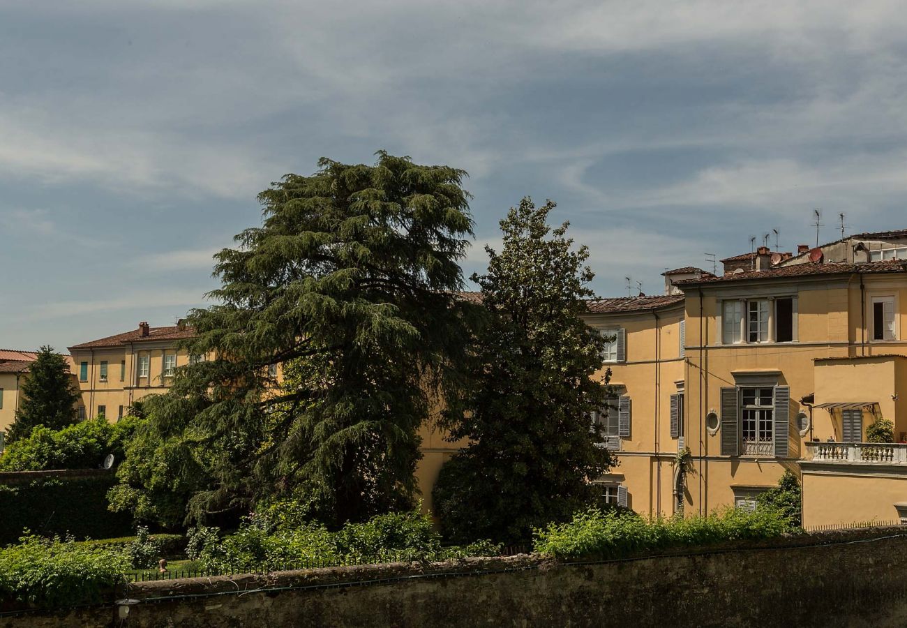 Apartment in Lucca - Casa Beatrice Apartment in Lucca - Casa Beatrice