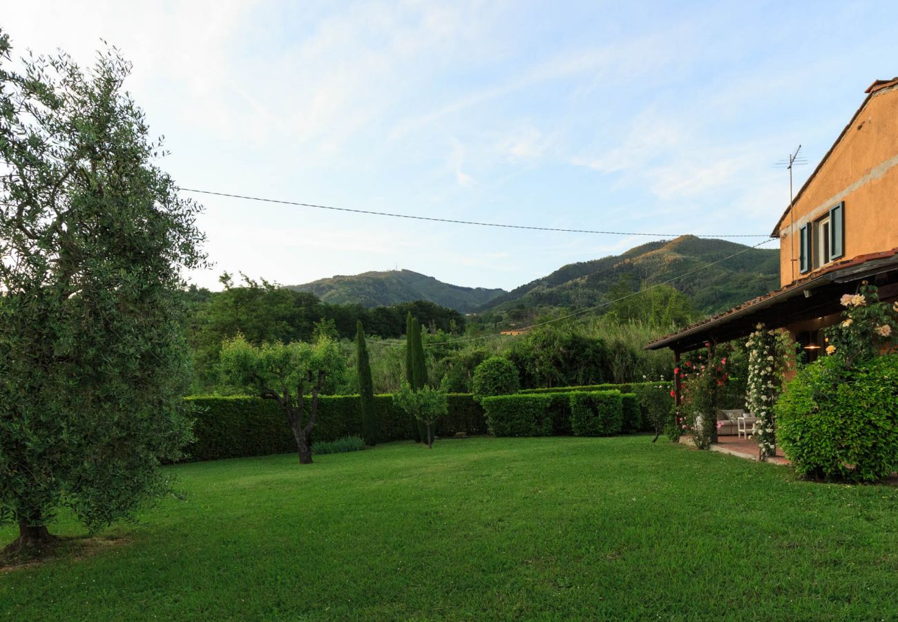 Villa in Capannori - Melograno Farmhouse Villa in Capannori - Melograno Farmhouse