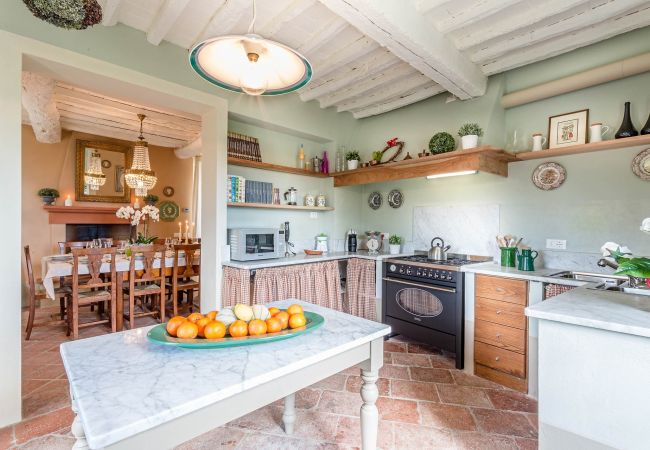 Villa in Lucca - Villa Principessa Elisa Villa in Lucca - Villa Principessa Elisa