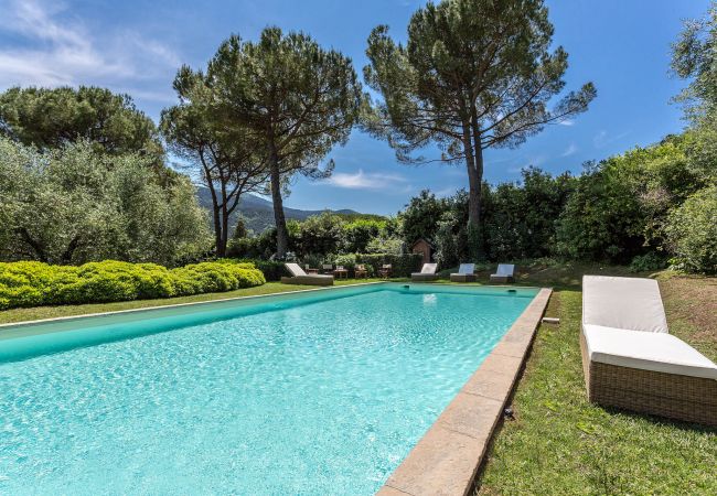 Villa in Lucca - Villa Rosita Villa in Lucca - Villa Rosita
