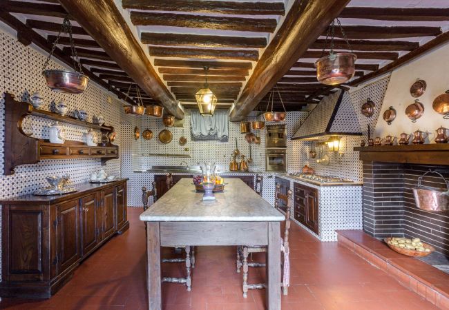 Villa in Lucca - Villa Rosita Villa in Lucca - Villa Rosita