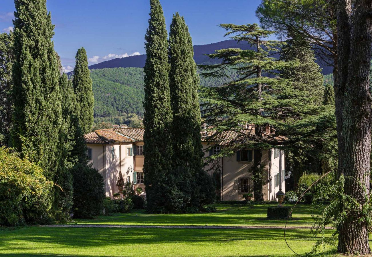 Villa in Lucca - Villa Rosita Villa in Lucca - Villa Rosita