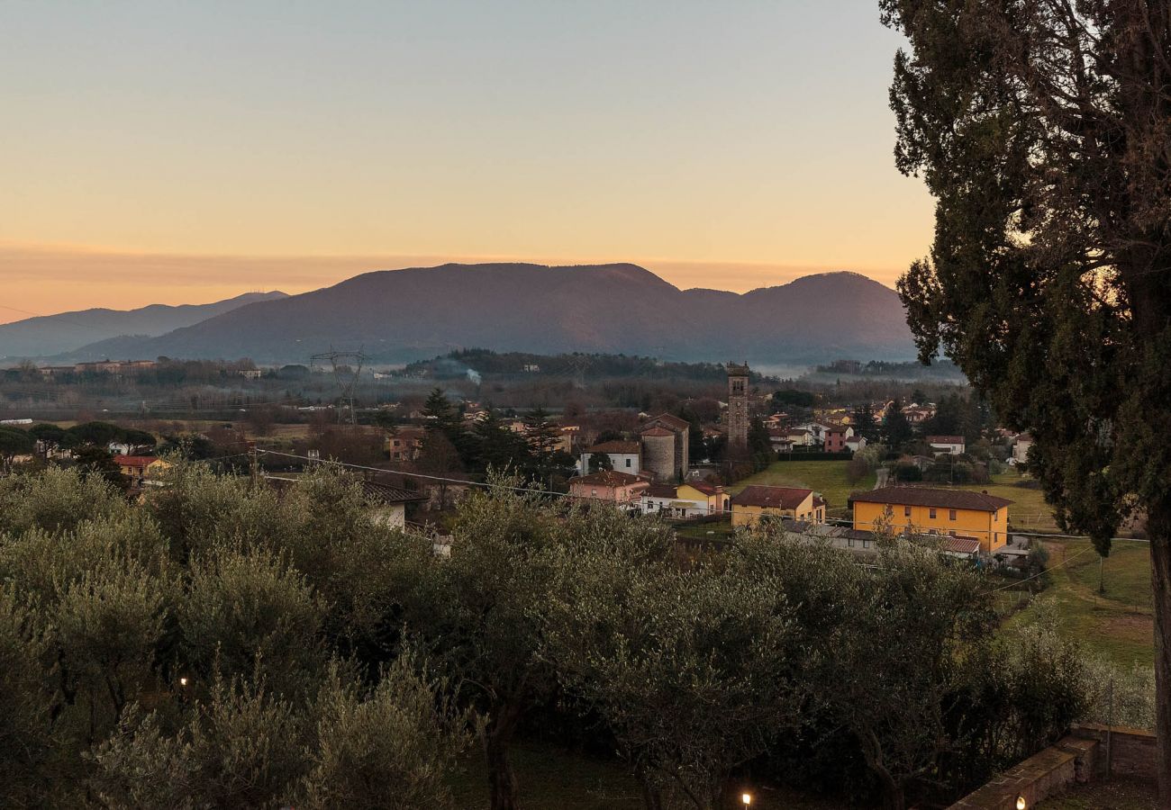 Villa in Maggiano - Villa Medea Villa in Maggiano - Villa Medea