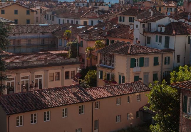 Apartment in Lucca - Casa Rosalba Apartment in Lucca - Casa Rosalba