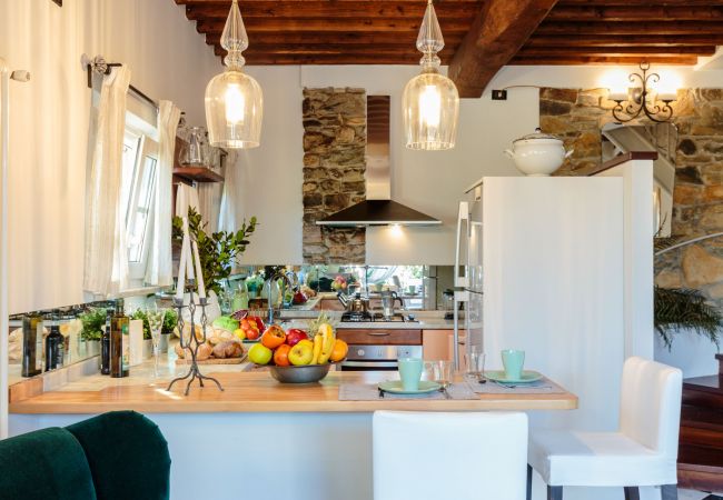 Villa in Capannori - Villa Catia Villa in Capannori - Villa Catia