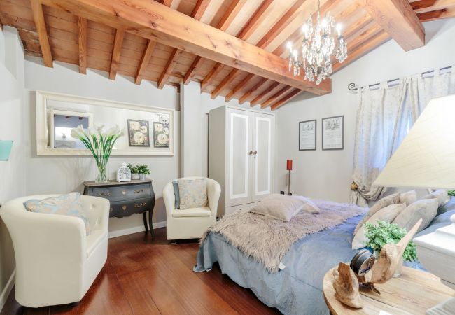 Villa in Capannori - Villa Catia Villa in Capannori - Villa Catia