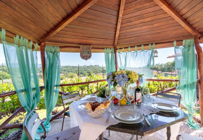 Villa in Capannori - Villa Catia Villa in Capannori - Villa Catia