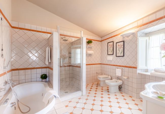 Villa in Capannori - Fattoria Camigliano Wine Estate Villa in Capannori - Fattoria Camigliano Wine Estate