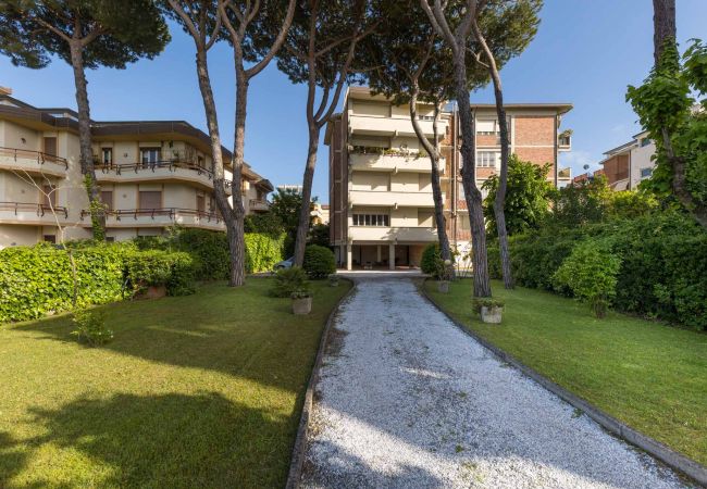 Apartment in Viareggio - La Casa Matta Apartment in Viareggio - La Casa Matta
