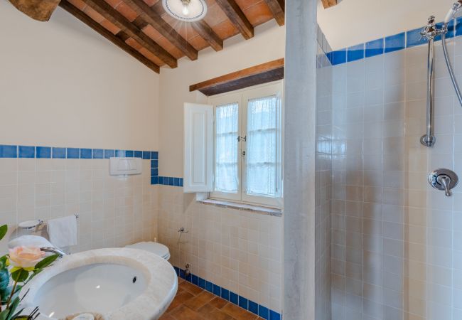 Villa in Lucca - Tuscan Fizz Villa, a Vineyards Retreat Villa in Lucca - Tuscan Fizz Villa, a Vineyards Retreat