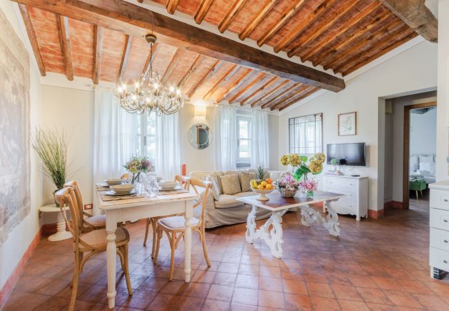 Apartment in Monte San quirico - Pietro Farmhouse Apartment in Wine Resort in Lucca Apartment in Monte San quirico - Pietro Farmhouse Apartment in Wine Resort in Lucca