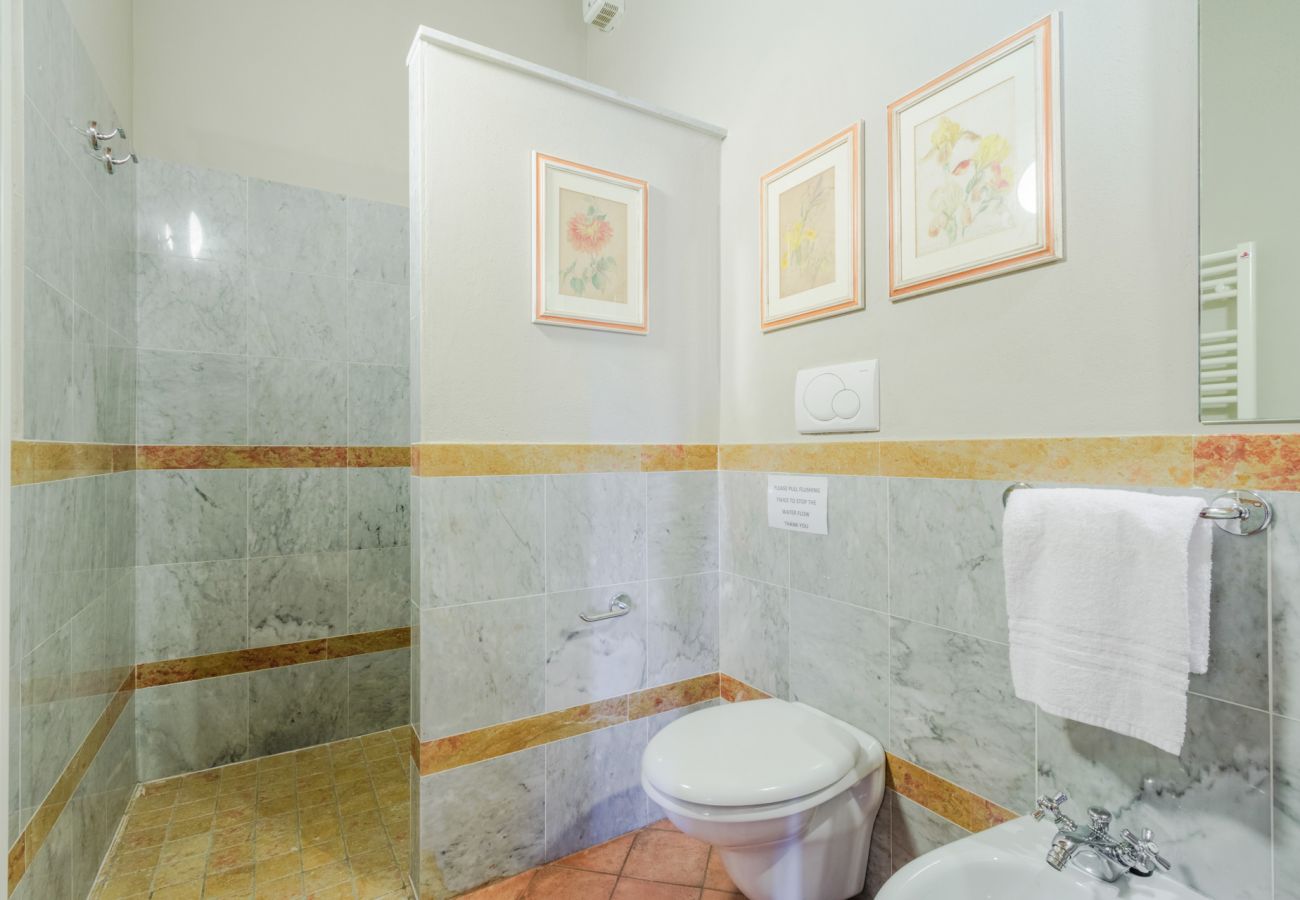 Apartment in Monte San quirico - Pietro Farmhouse Apartment in Wine Resort in Lucca Apartment in Monte San quirico - Pietro Farmhouse Apartment in Wine Resort in Lucca