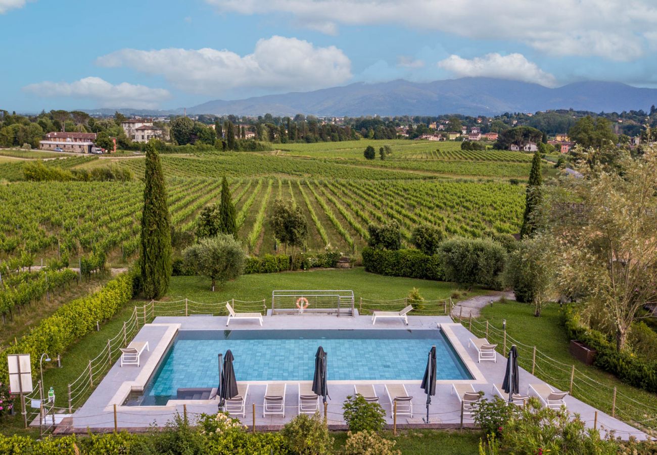 Apartment in Monte San quirico - Pietro Farmhouse Apartment in Wine Resort in Lucca Apartment in Monte San quirico - Pietro Farmhouse Apartment in Wine Resort in Lucca