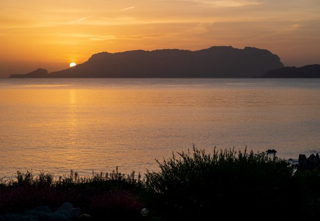 Villa in Olbia - Villa Azul Villa in Olbia - Villa Azul