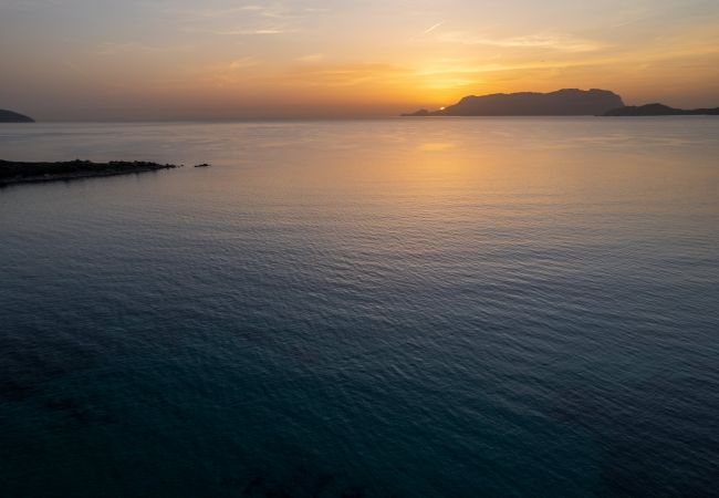 Villa in Olbia - Villa Azul Villa Azul - Klodge holiday home in a unique location near the sea