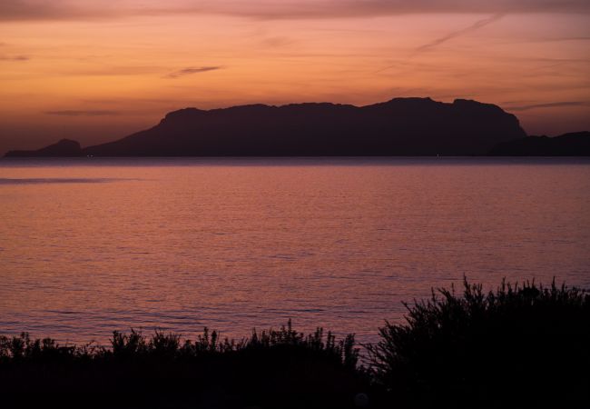 Villa in Olbia - Villa Azul Villa Azul - panoramic sea view in holiday home in Pittulongu