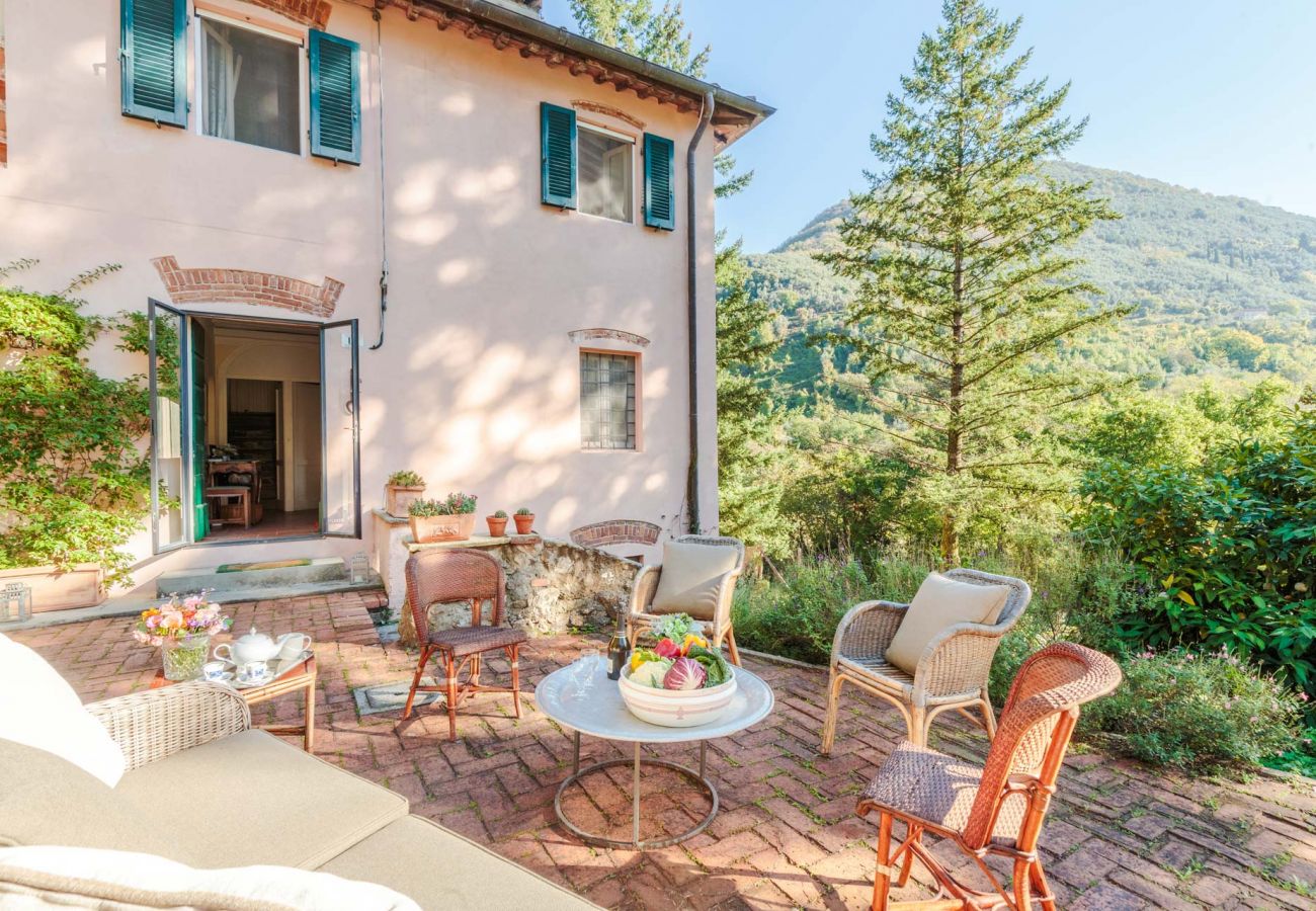 Villa in Camaiore - Villa Birdsong
