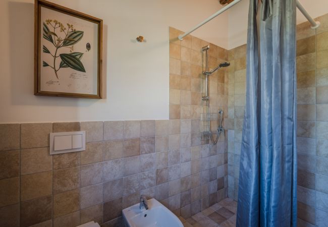 Apartment in San Gennaro - Casa Pinocchio at Borghetto Farmhouse Apartment in San Gennaro - Casa Pinocchio at Borghetto Farmhouse