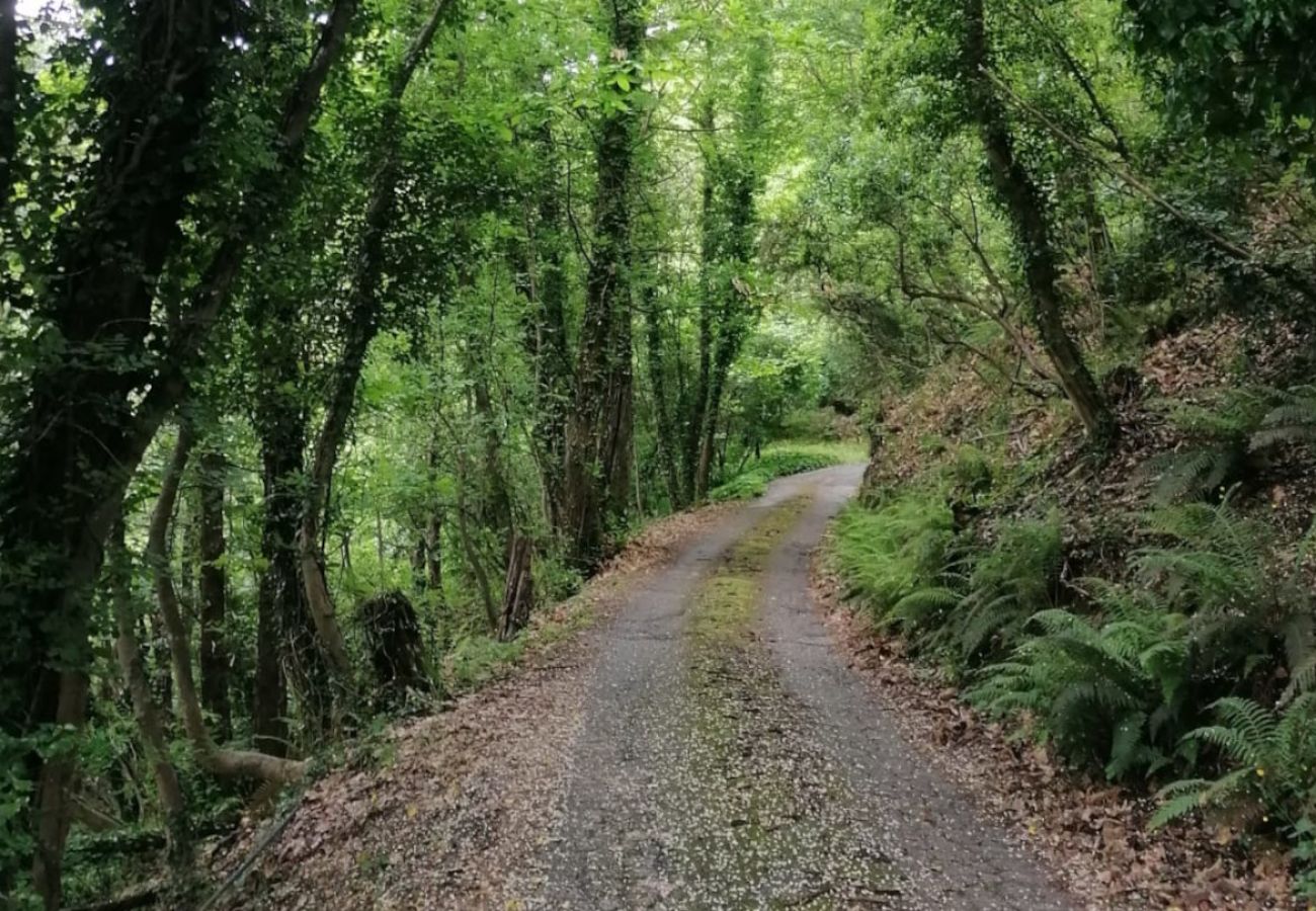 Villa in Pescia - Sospirata Farmhouse Villa in Pescia - Sospirata Farmhouse