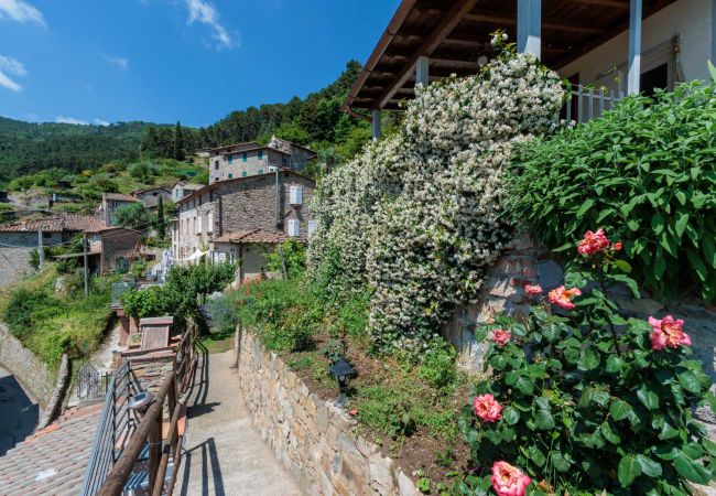 Villa in Ruota - Cottage Gigi Villa in Ruota - Cottage Gigi