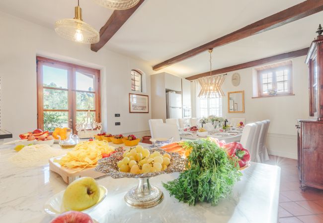 Villa in Lucca - Amore Farmhouse Retreat Villa in Lucca - Amore Farmhouse Retreat