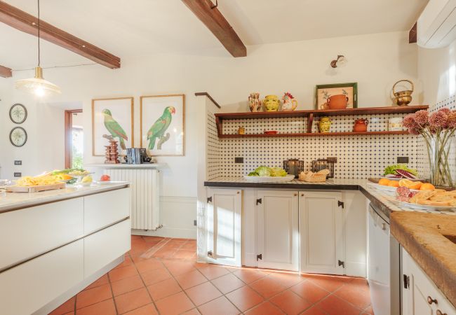 Villa in Lucca - Amore Farmhouse Retreat Villa in Lucca - Amore Farmhouse Retreat