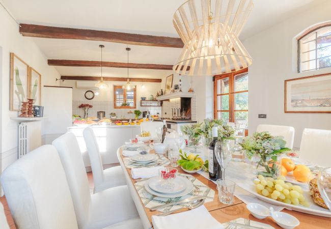 Villa in Lucca - Amore Farmhouse Retreat Villa in Lucca - Amore Farmhouse Retreat