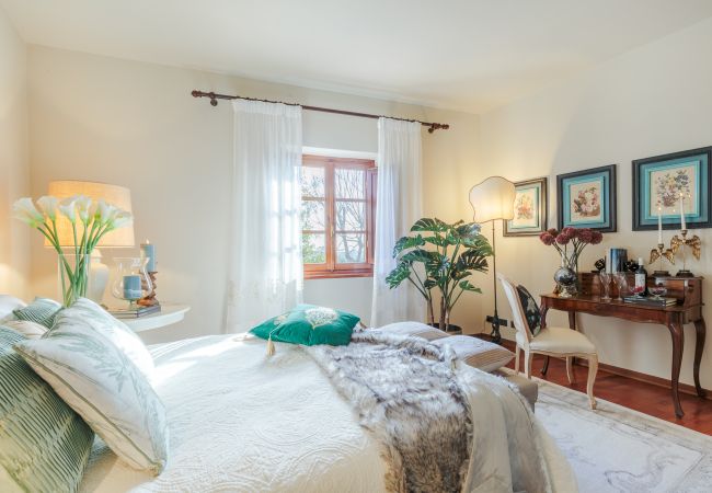 Villa in Lucca - Amore Farmhouse Retreat Villa in Lucca - Amore Farmhouse Retreat