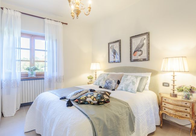 Villa in Lucca - Amore Farmhouse Retreat Villa in Lucca - Amore Farmhouse Retreat