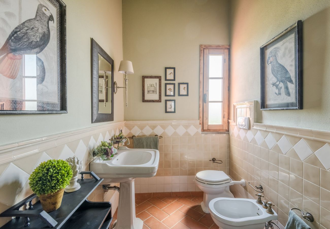 Villa in San Miniato - Villa San Miniato Villa in San Miniato - Villa San Miniato