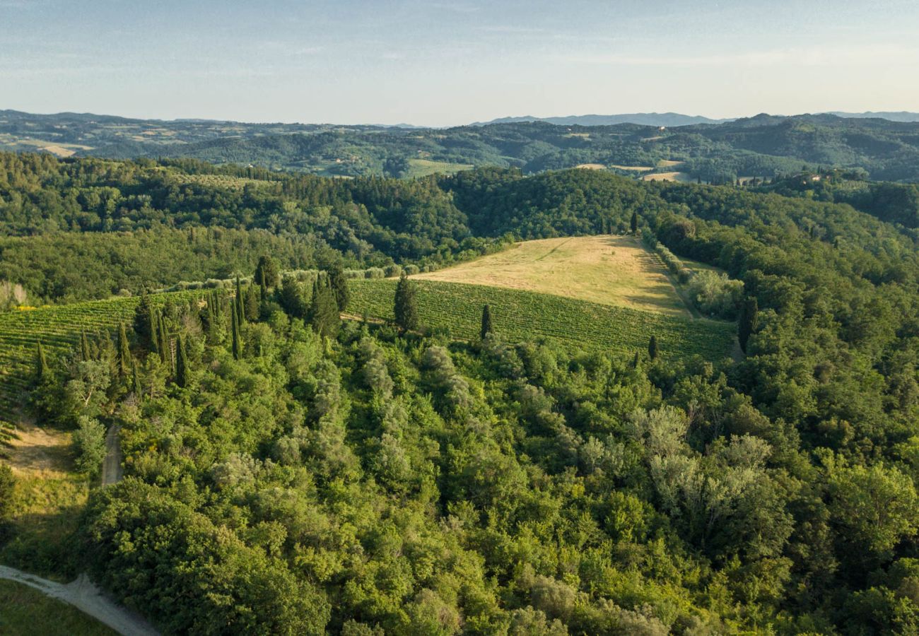 Villa in San Miniato - Villa San Miniato Villa in San Miniato - Villa San Miniato