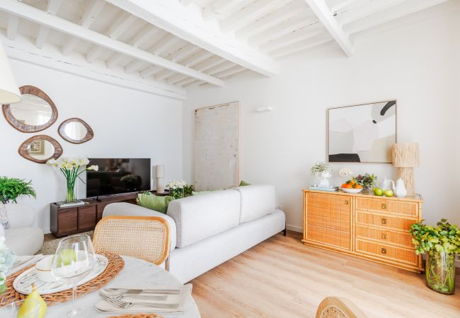 Apartment in Lucca - Letizia Mirror Apartment in Lucca - Letizia Mirror